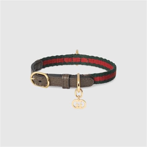 gucci cat colar|Gucci dog collar backpack.